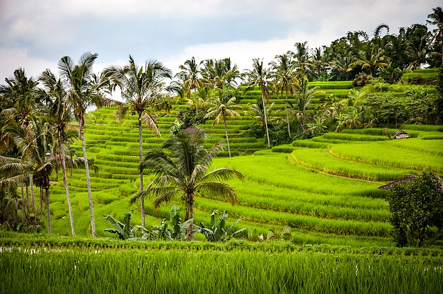 Travel publication Big 7 Travel released its 2020 list of the most Instagrammable places in the world, with Bali ranking eighth.