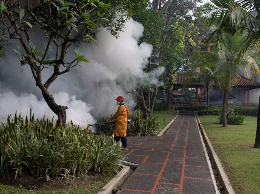 bali dengue fogging