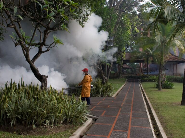 Bali Health Officials Announce Further Rise In Dengue Fever Cases The