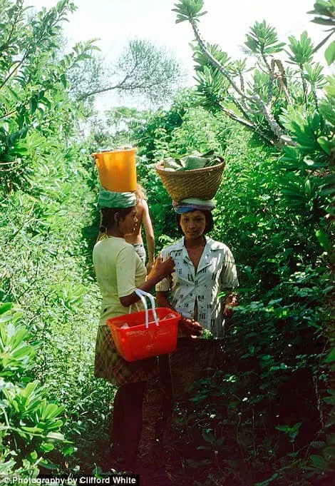 A More Traditional Way Of Transporting Supplies