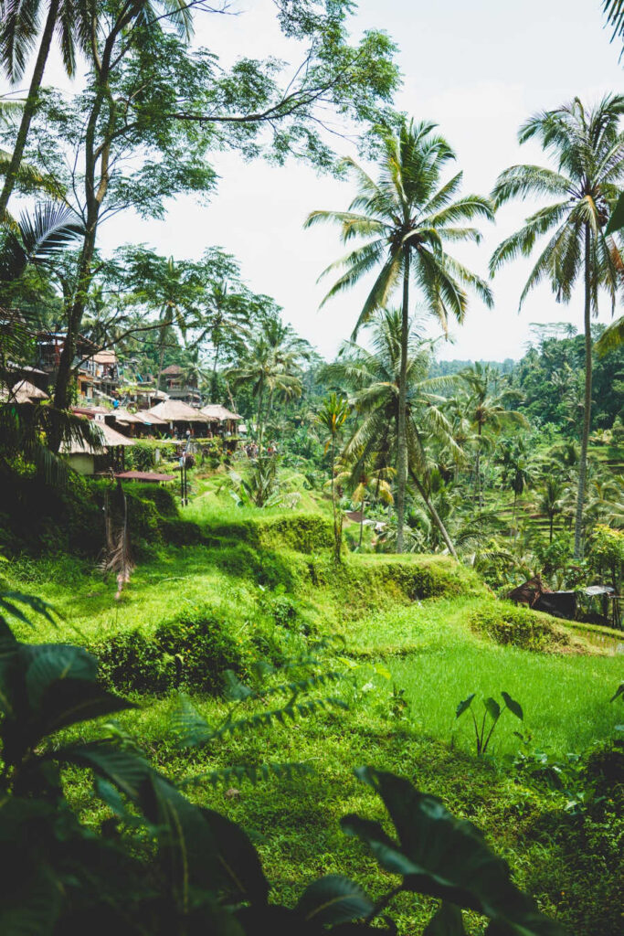 Bali villas in ubud