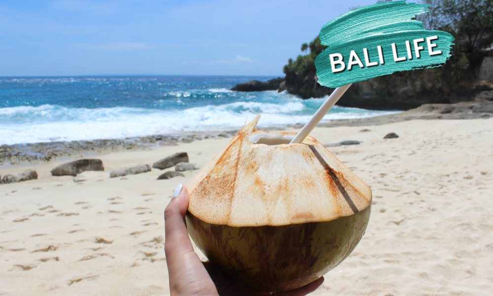 when is the best time to go to bali