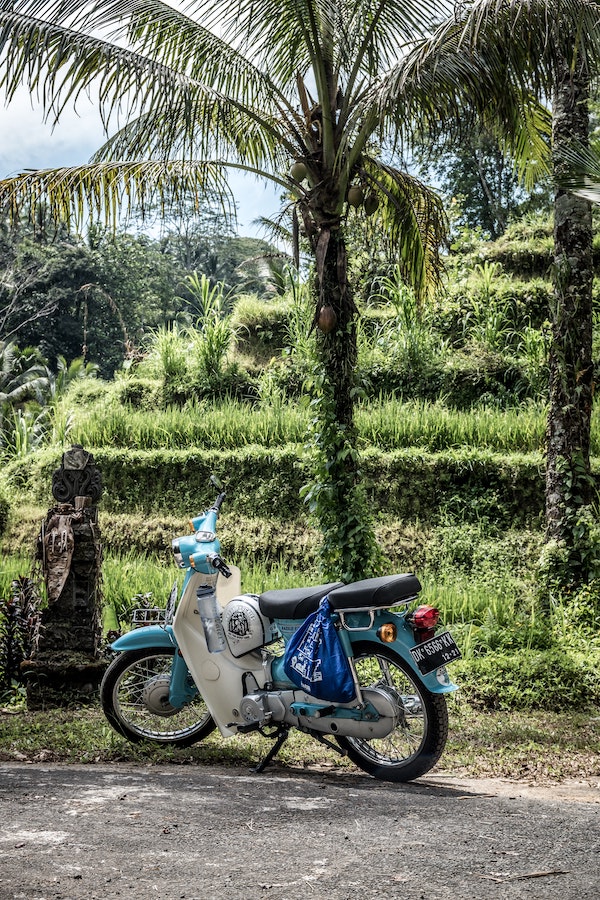 scooter rentals are cheap in bali