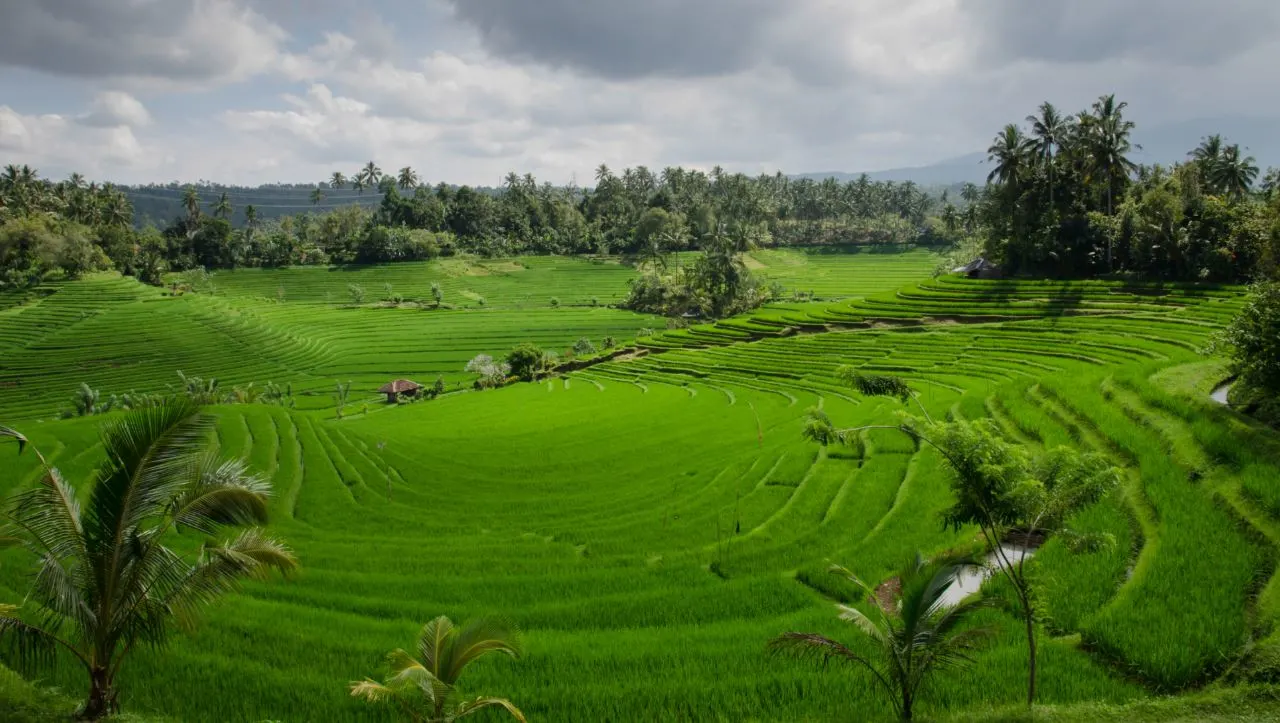 Bali To Build Eco-Friendly Tourist Village In Tabanan