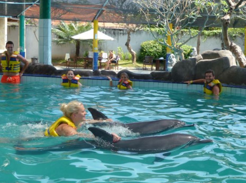 Bali dolphin hotel