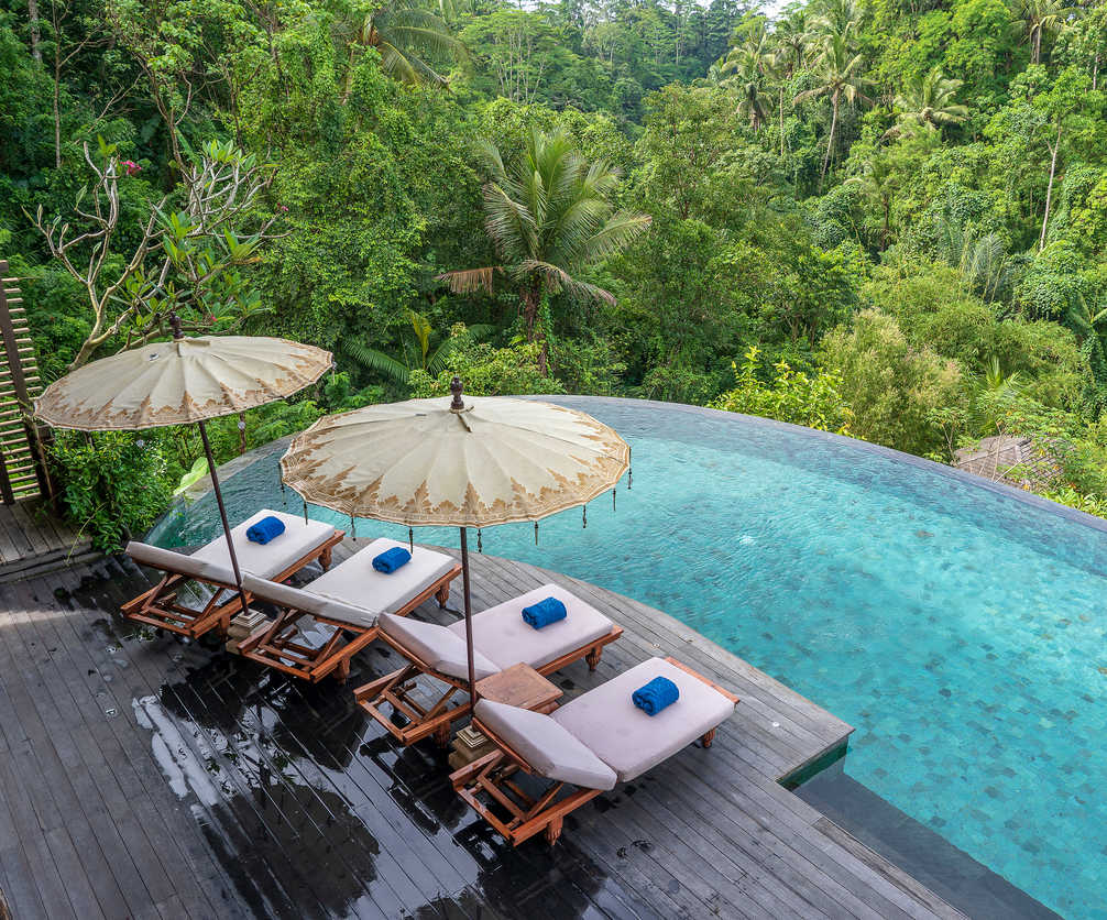 Bali pool overlooking jungle
