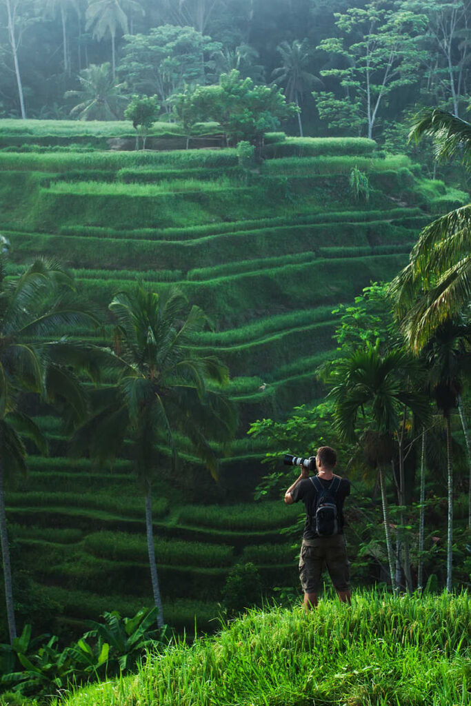 Bali rice field terrace (1)