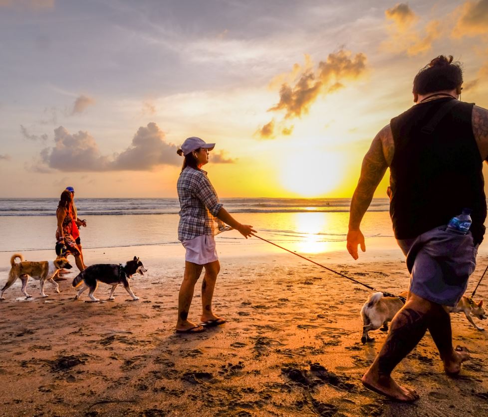 Bali domestic tourists