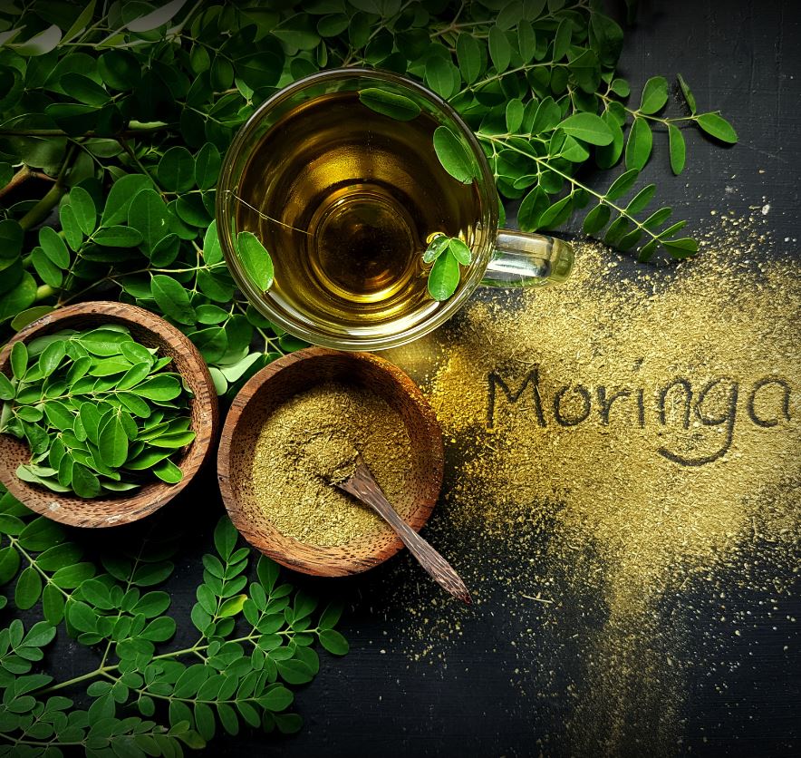 Moringa leaves