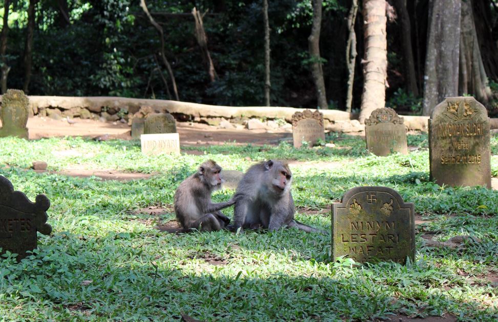 Village Bans Bali Family From Burying Mother In Cemetary Due To Unpaid Debt