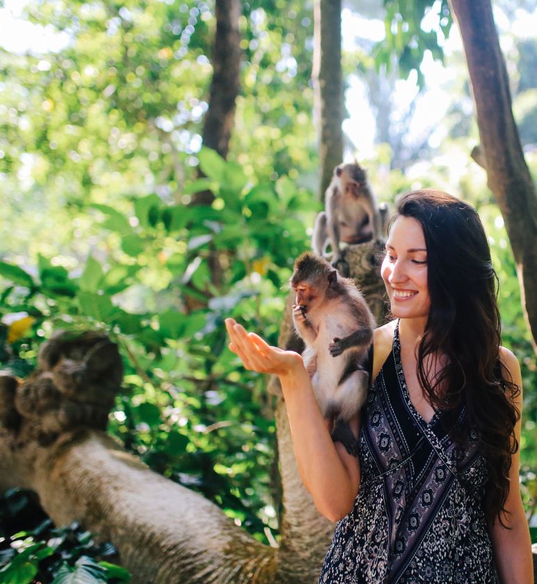 bali monkey forest