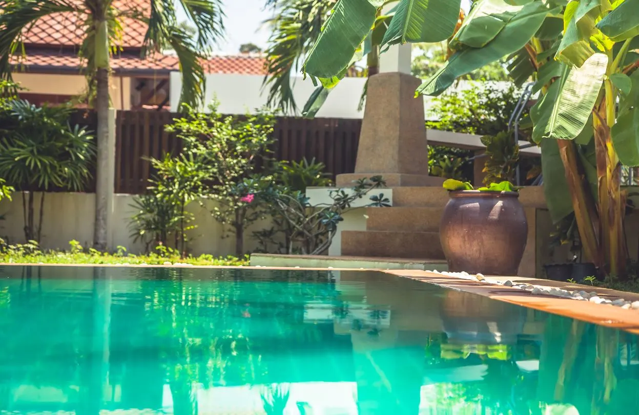 Sport Center In Bali Transforms Swimming Pool Into Fish Farm