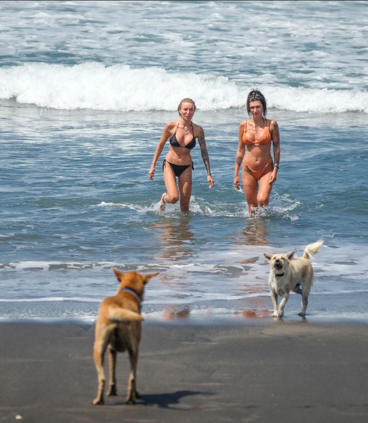 tourists enjoying the beach in bali