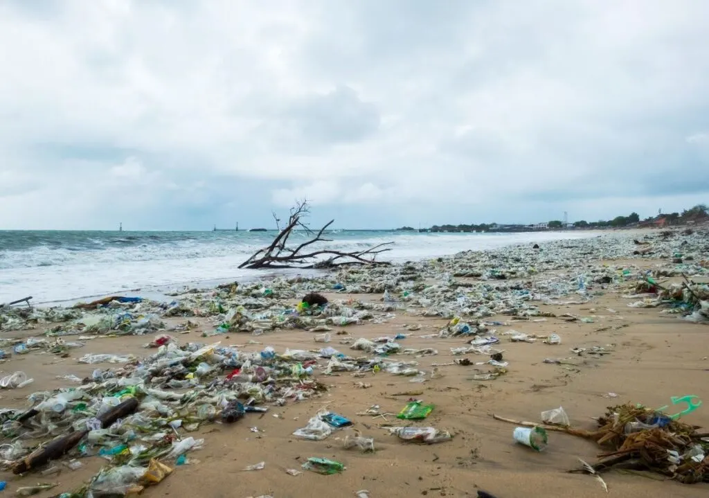 bali garbage