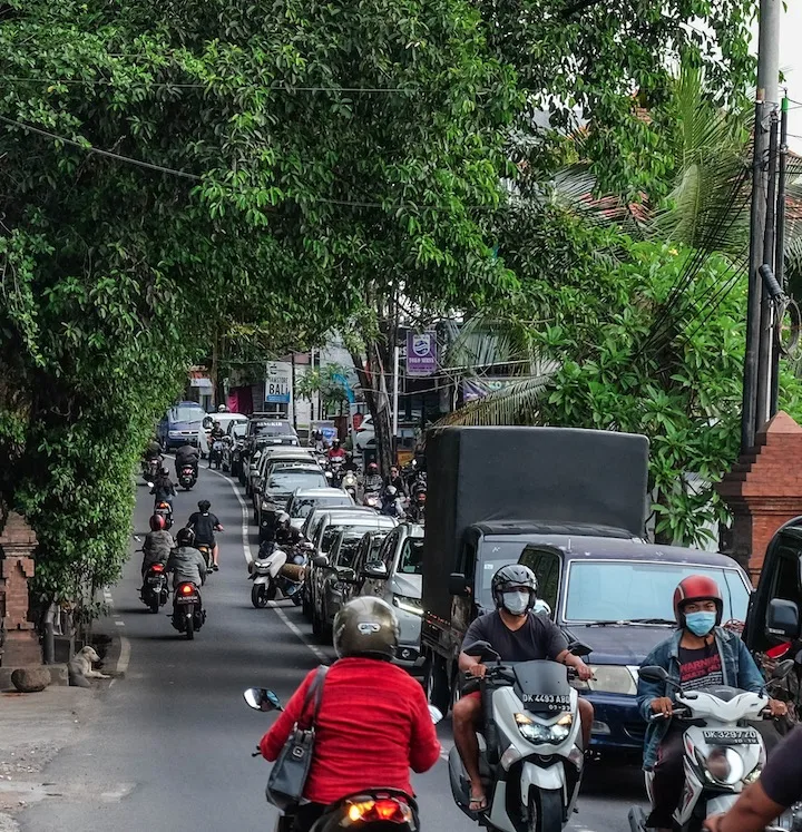 traffic in Bali street trees