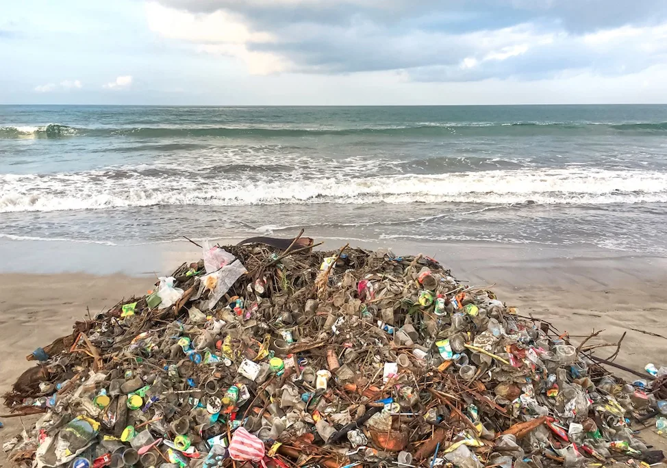 coastal waste and plastic