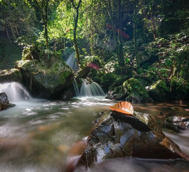 Bali waterfall
