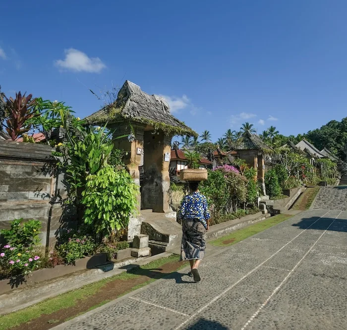 Bali culture land