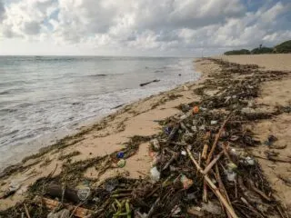 Danone-AQUA Committed To Solve Waste Challenge In Bali