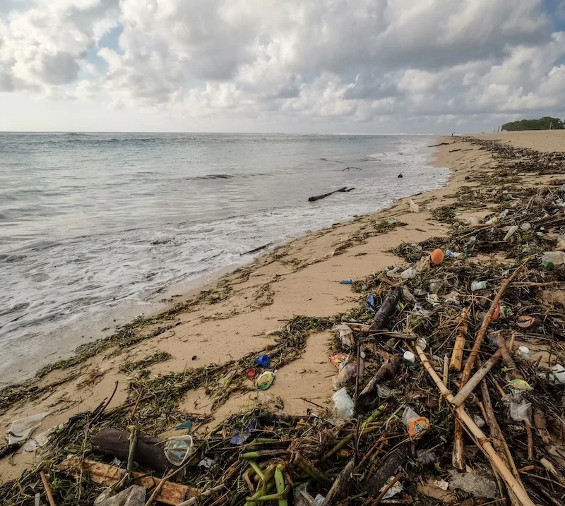 coastal waste and plastic on beach
