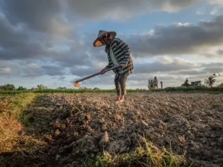 Bali Prepares To Send Farmers In Tabanan To Work Overseas