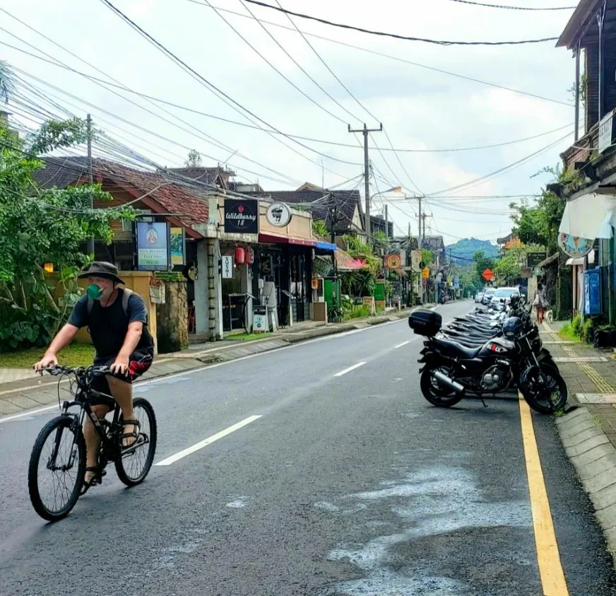 Tourists in Ubud