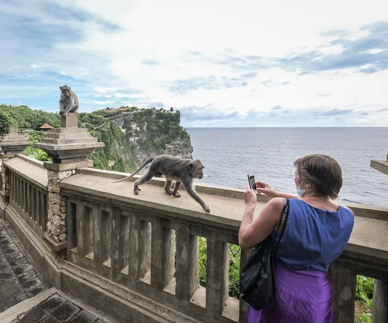 tourist on cliff monkeys