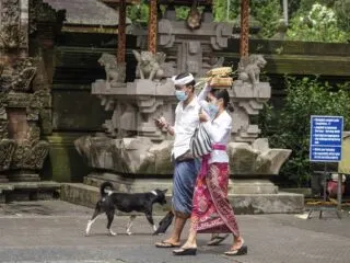Rabies Cases From Dog Bites Surge In Karangasem, Bali
