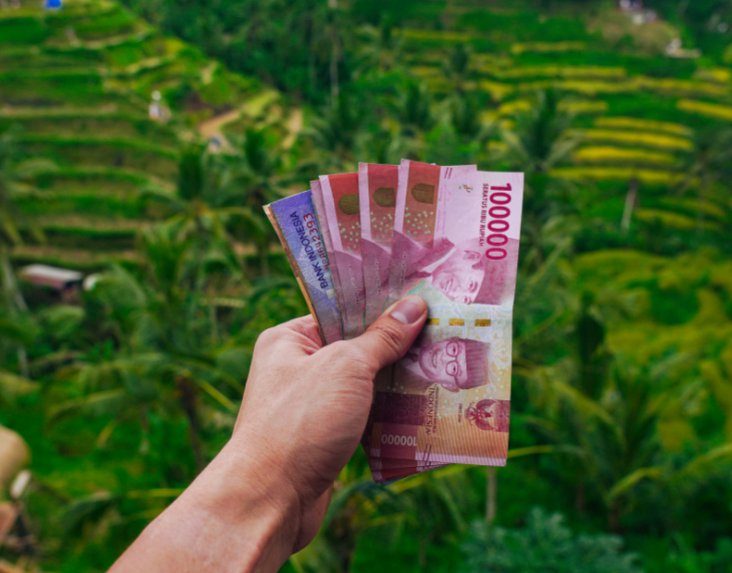 Сколько денег на бали. Деньги Бали. Валюта острова Бали. Какая валюта на Бали. Money Rice.