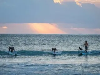 A 59-year-old man named Raymond from Australia has been rescued after losing consciousness while surfing in Bali.