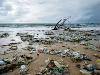 River Waste Polluting West Bali Beaches