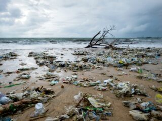 400 Tons Of Garbage Found On Bali Beach