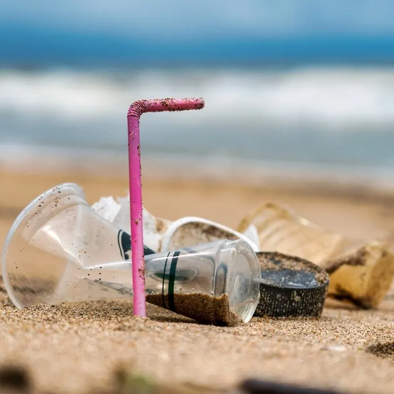 Single use plastic