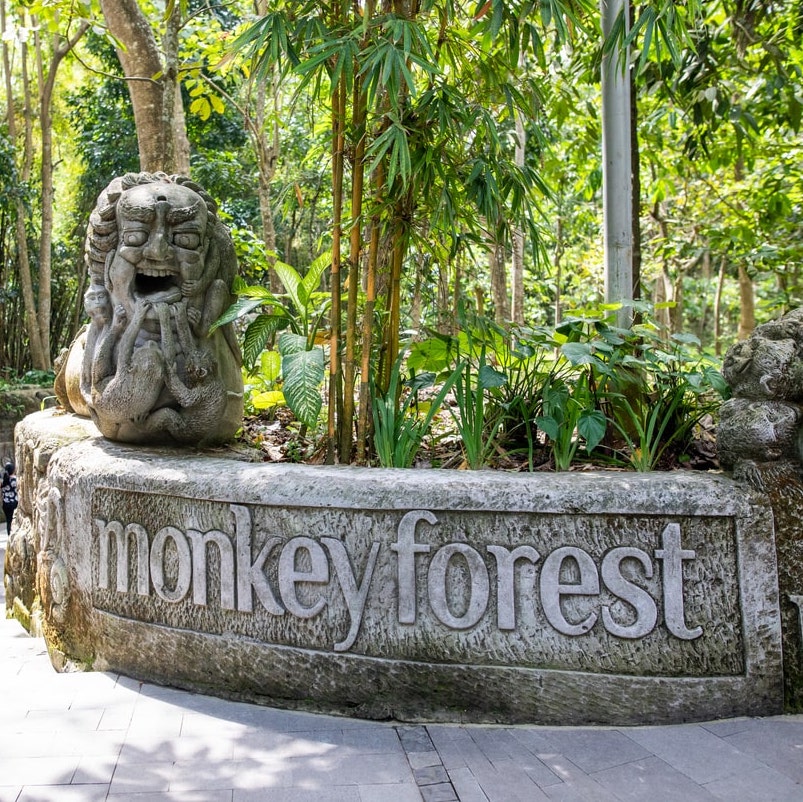 Monkey forest entrance
