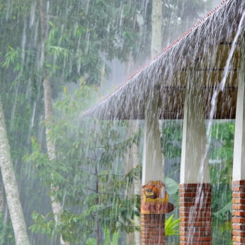 Rain in Bali