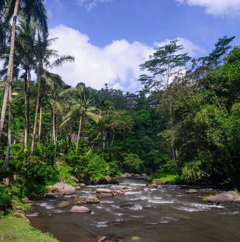 River flows through Bali countryside tropical jungle