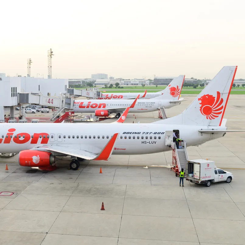 Lion air planes