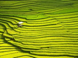 Bali Government To Develop 3,100 Acres Of Rice Field For Tourism Spots
