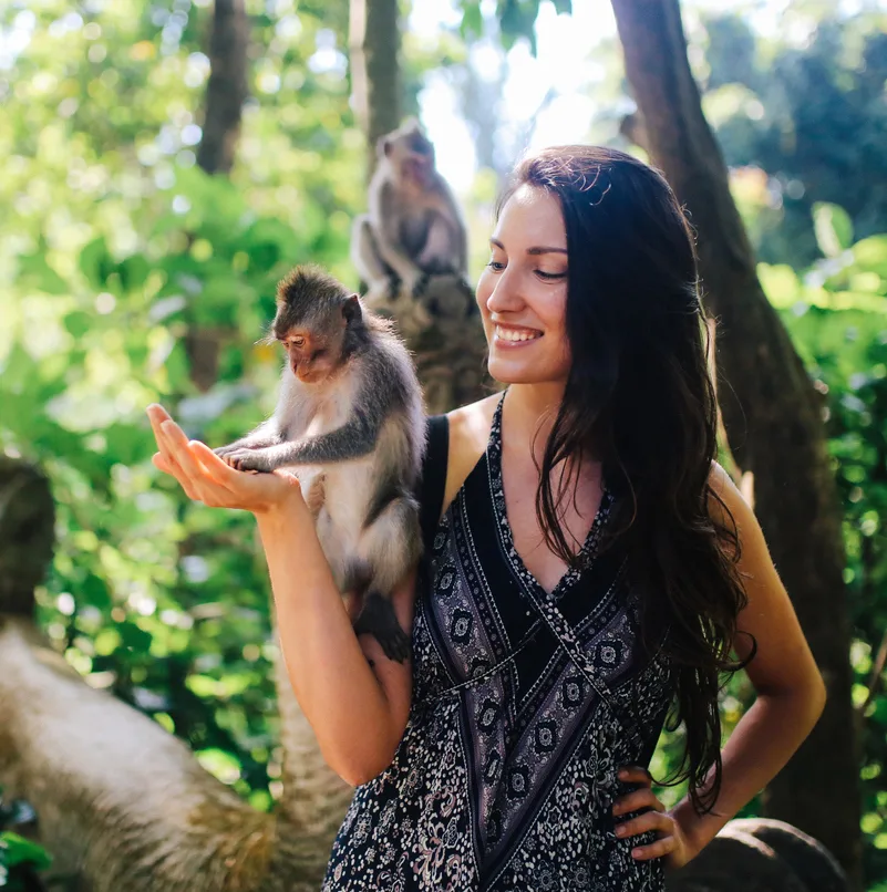 Bali monkeys