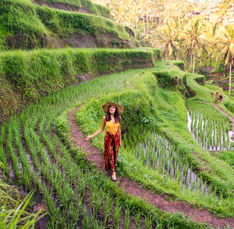 woman tegalalang rice terraces