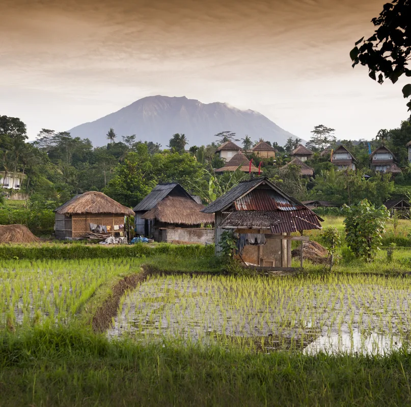 bali village