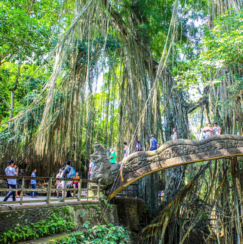 Monkey forest, Ubud, Indonesia