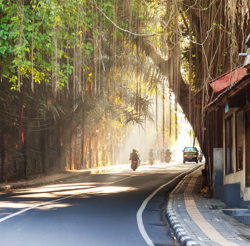 ubud street