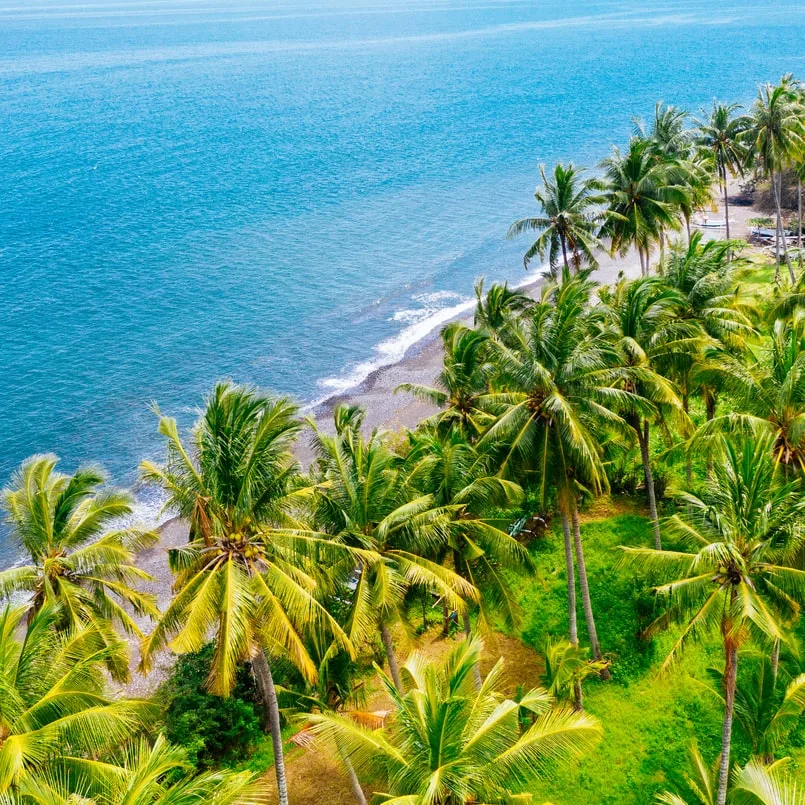 bali beach aerial view