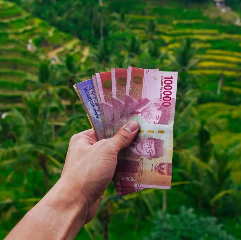 bali money rice terraces