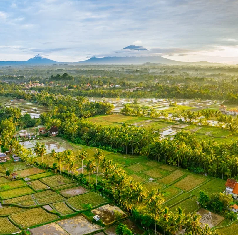 mount batur view