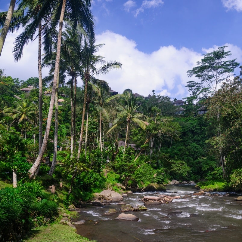 Bali forest ravine