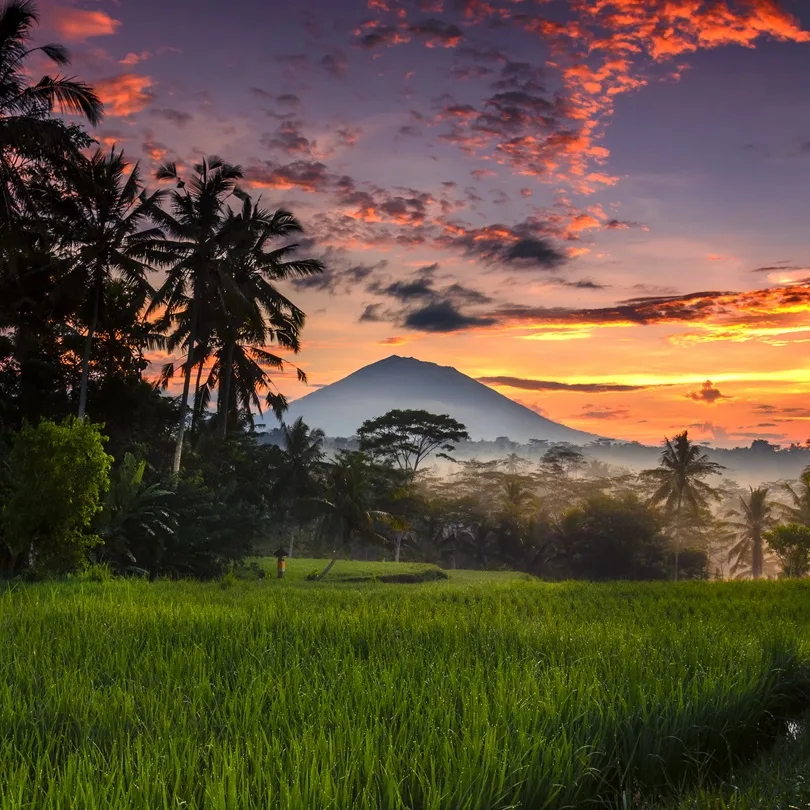 view of bali nature