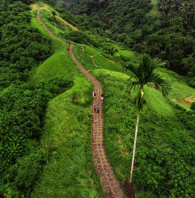ubud mountains