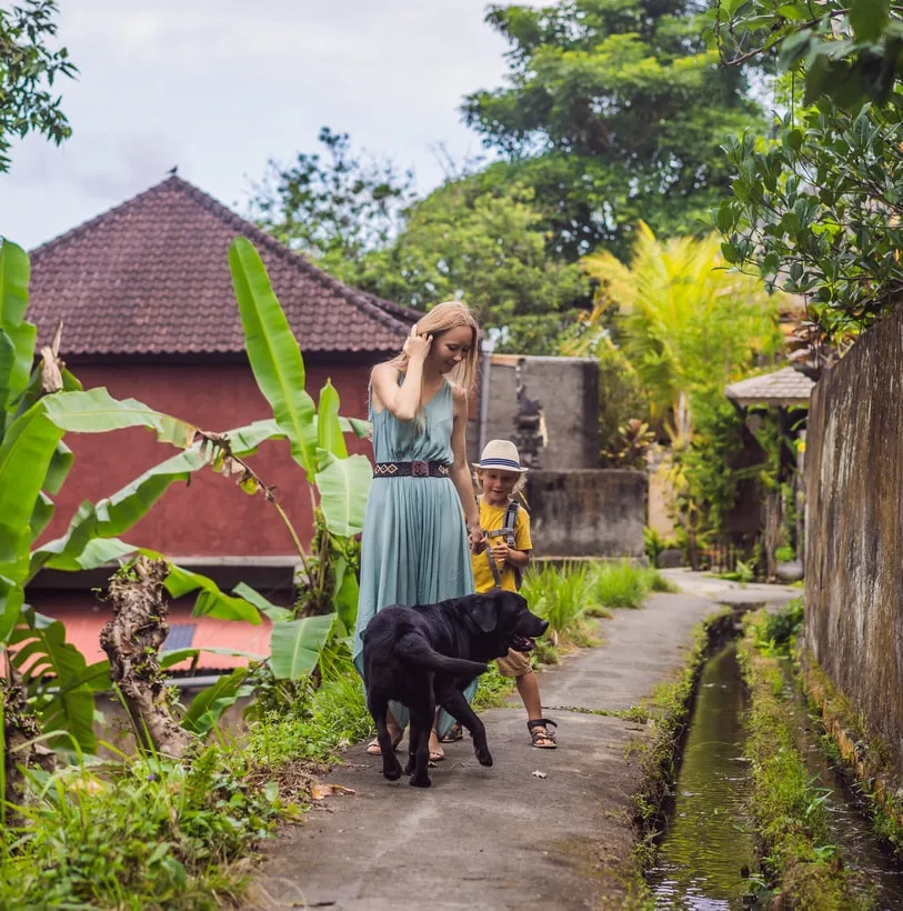 bali tourist dog